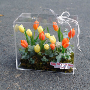 Box Tulip